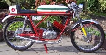 MALANCA TESTAROSSA 50